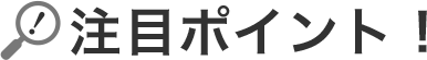 注目ポイント